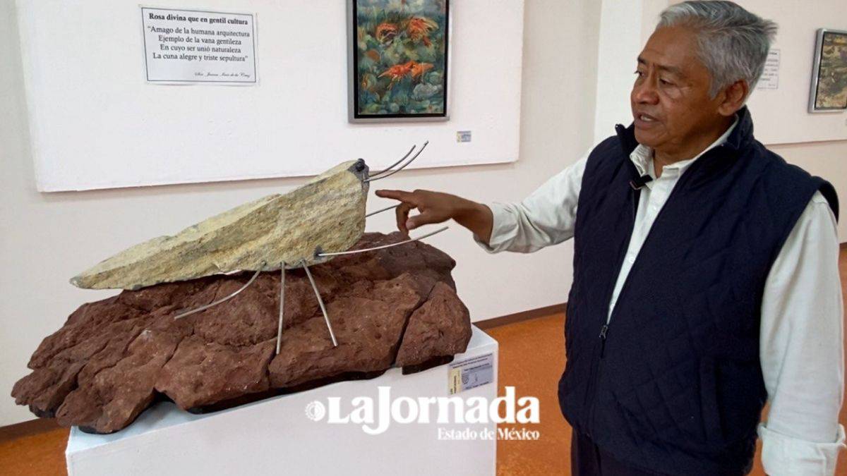 Exposición artística rinde homenaje a fauna milenaria del Valle de México