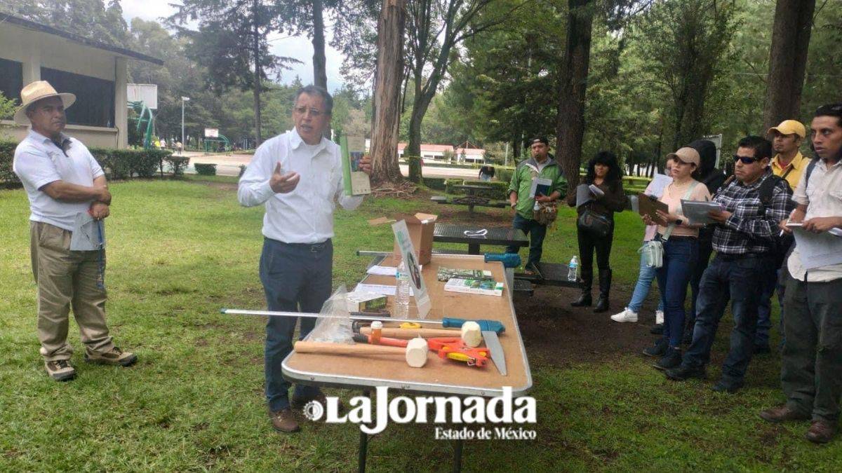 Tecámac: Capacitan sobre arbolado y manejo de áreas verdes