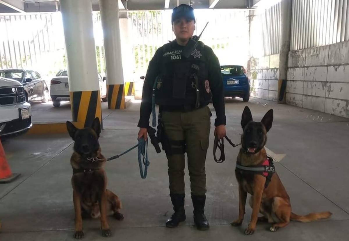 Chimalhuacán: buscan certificar unidades caninas de seguridad pública