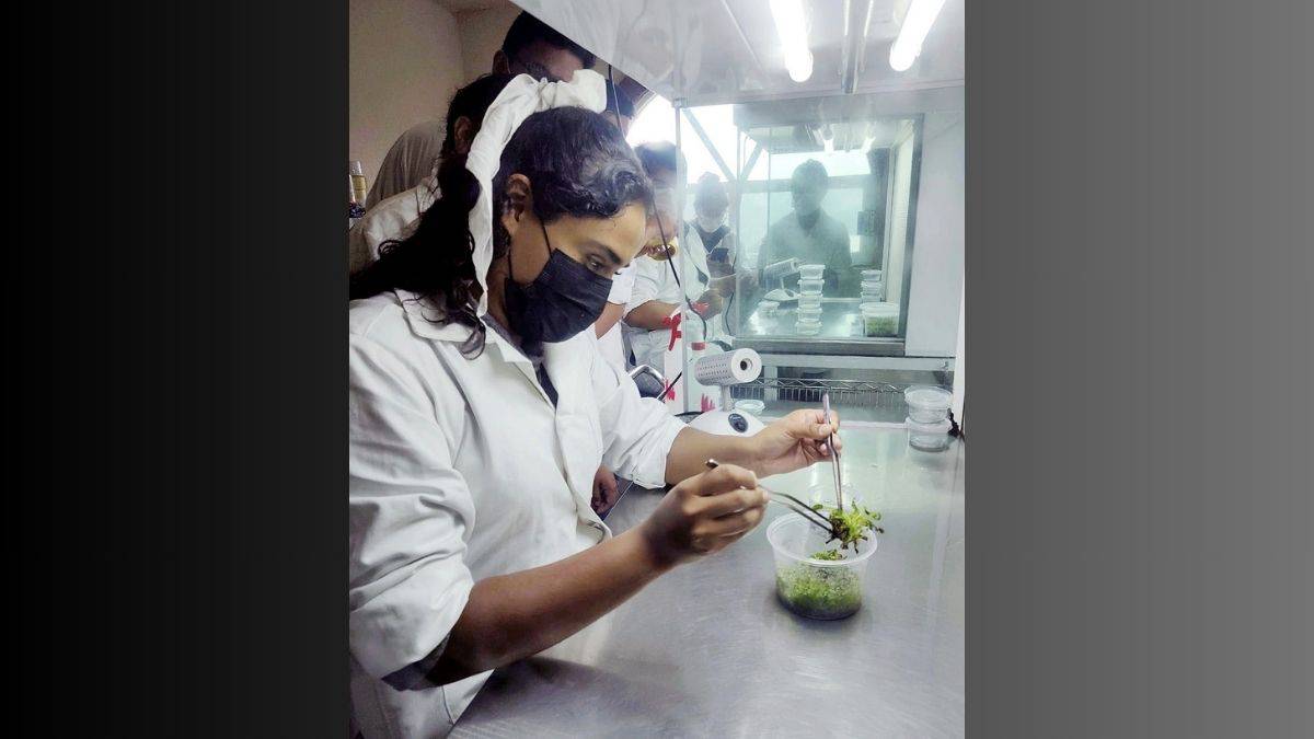 Mujeres mexiquenses ganan terreno en la ciencia, reciben 55% de las becas para el sector