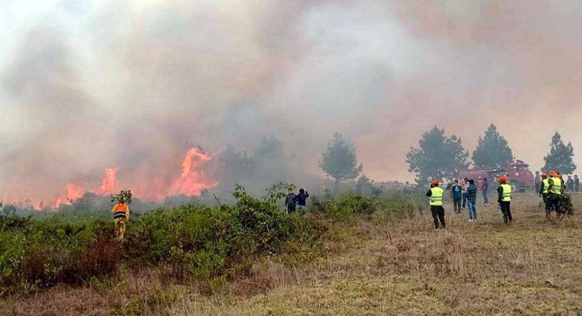 Perú declara en emergencia tres regiones de la selva por incendios