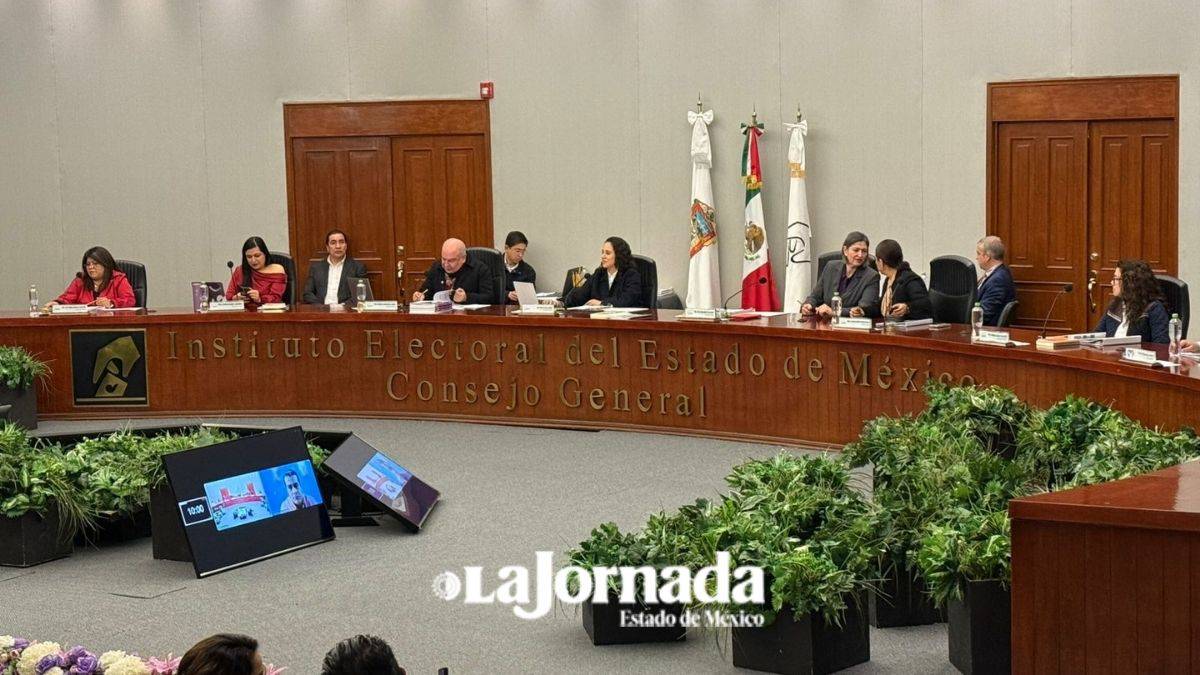 IEEM formaliza pérdida de registro como partido de NAEM