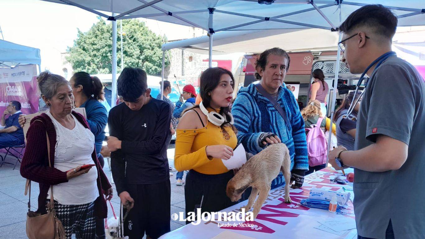 Chalco: Así fue la Primera Caravana por el Bienestar Animal