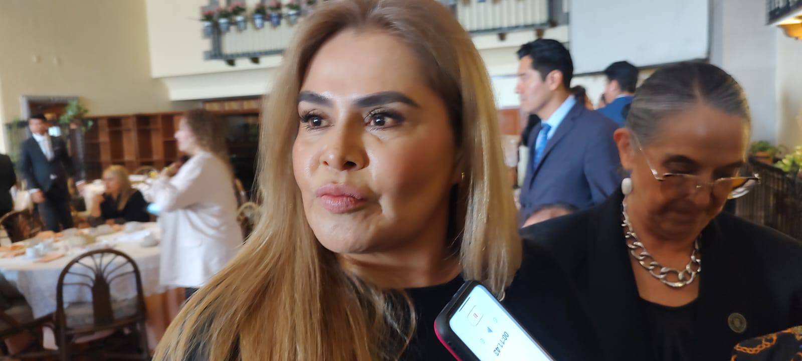 Se apunta Erika Icela Castillo Vega para presidir el Poder Judicial estatal