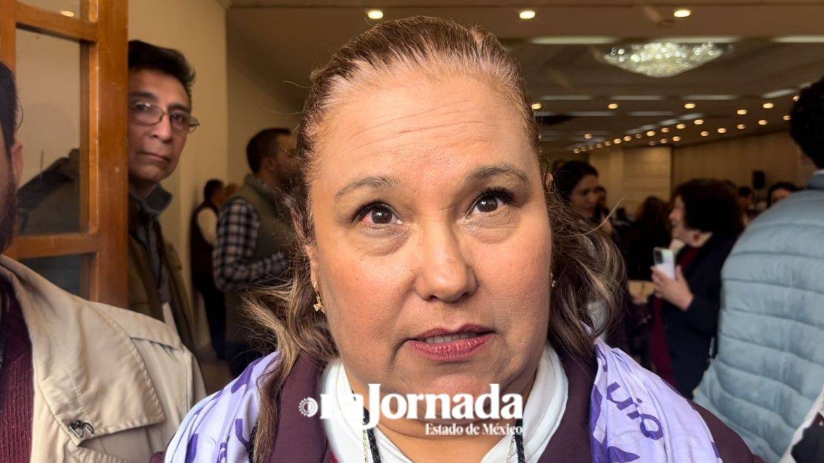 Luz María Hernández, nueva dirigente estatal de MORENA