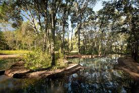 Bosque Eterno, un innovador concepto de cementerio ecológico