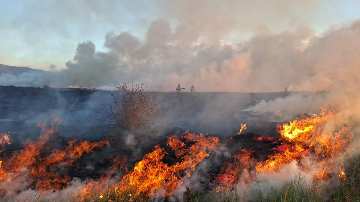 Arde maleza y pastizal en el Parque Ecológico Lago de Texcoco