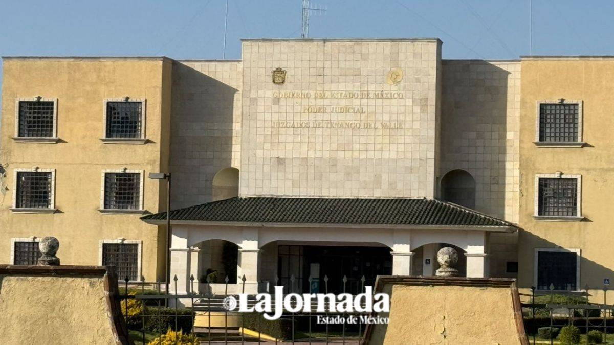 Operativo Enjambre: Delitos de los que acusan a alcaldesa de Amanalco y a comisarios