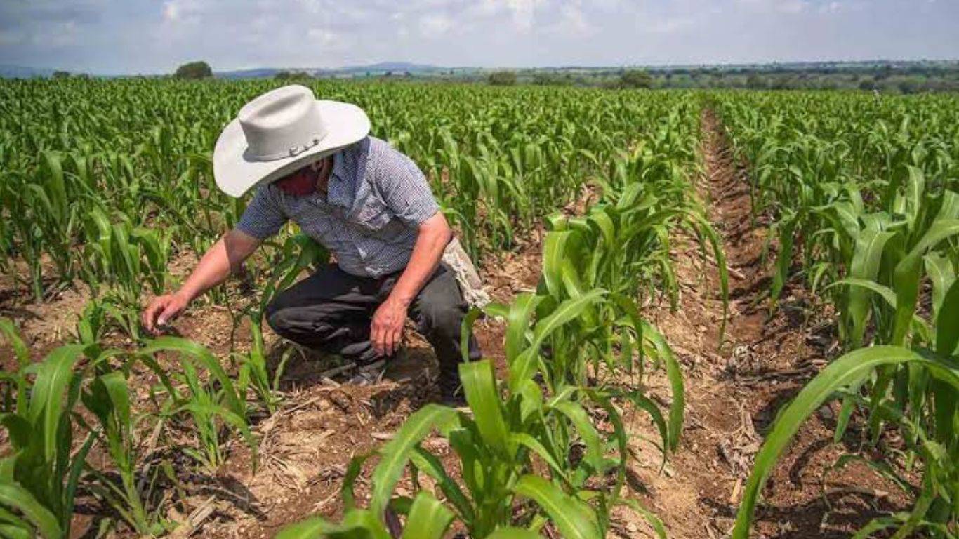 Edomex: Ejidatarios buscan otras alternativas ante la falta de agua