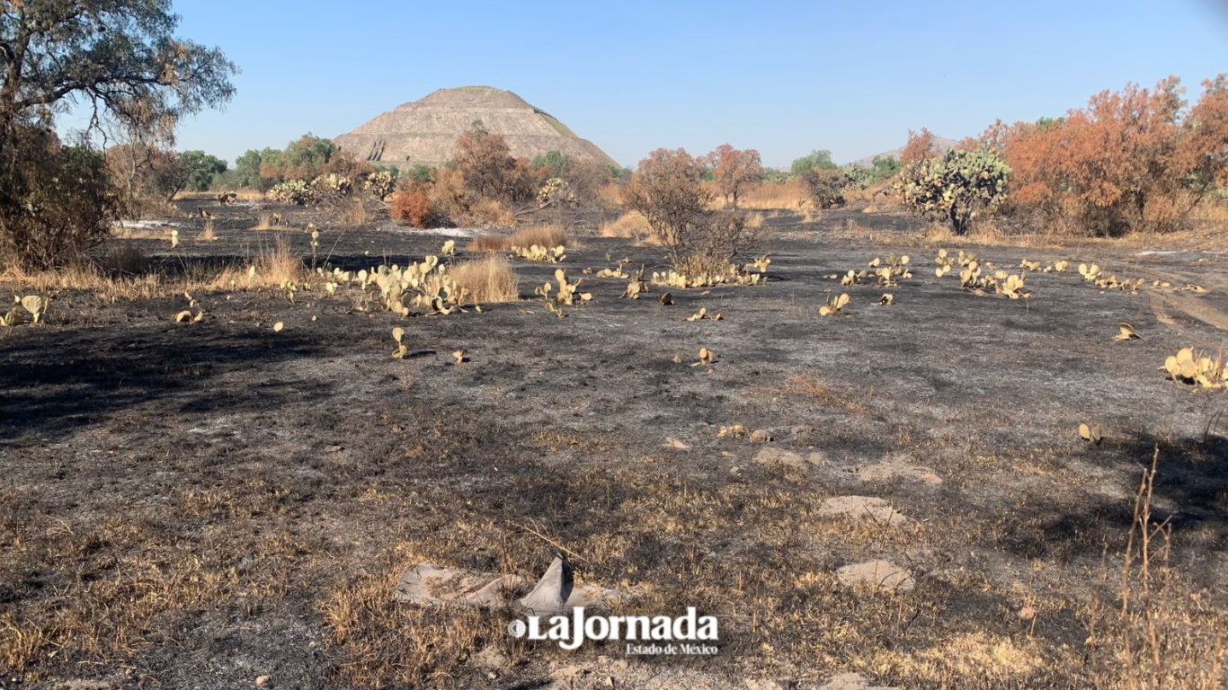 Incendio de pastizales afecta la zona arqueológica de Teotihuacán