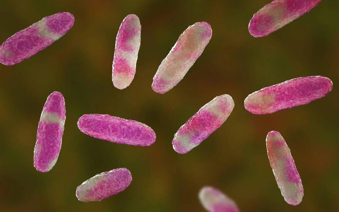 Detectan nuevos brotes sospechosos de Klebsiella oxytoca en Michoacán y Guanajuato