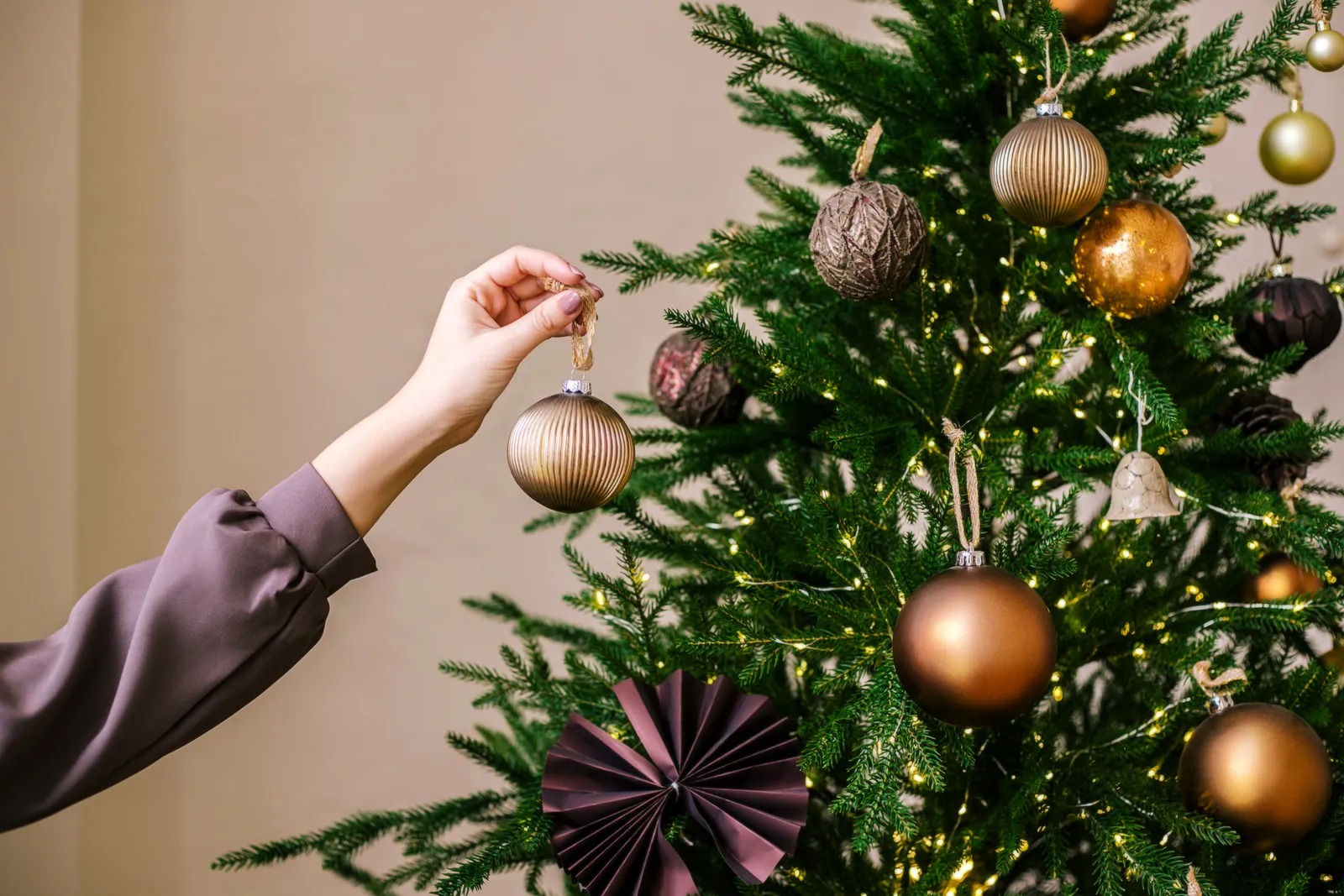 Toluca lista para el encendido del árbol navideño