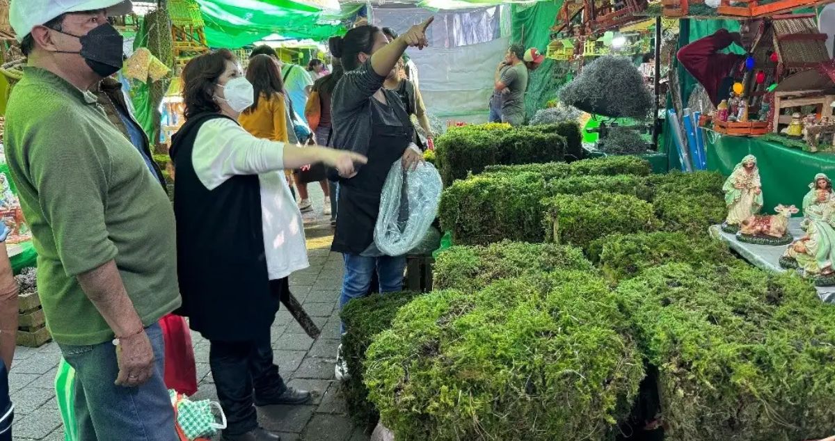 El peligro del musgo navideño y por qué no debería estar en tu nacimiento